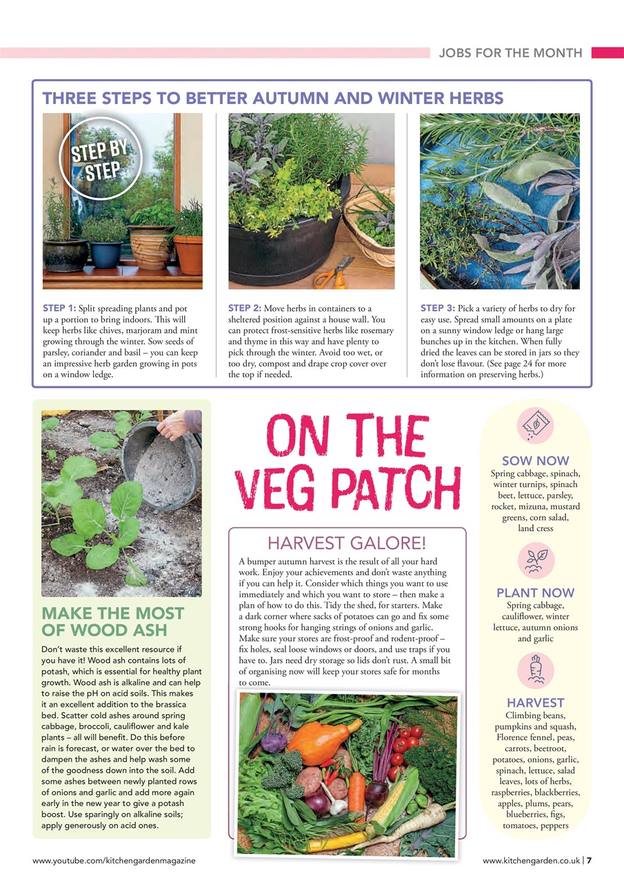 Kitchen Garden Magazine Preview Pages