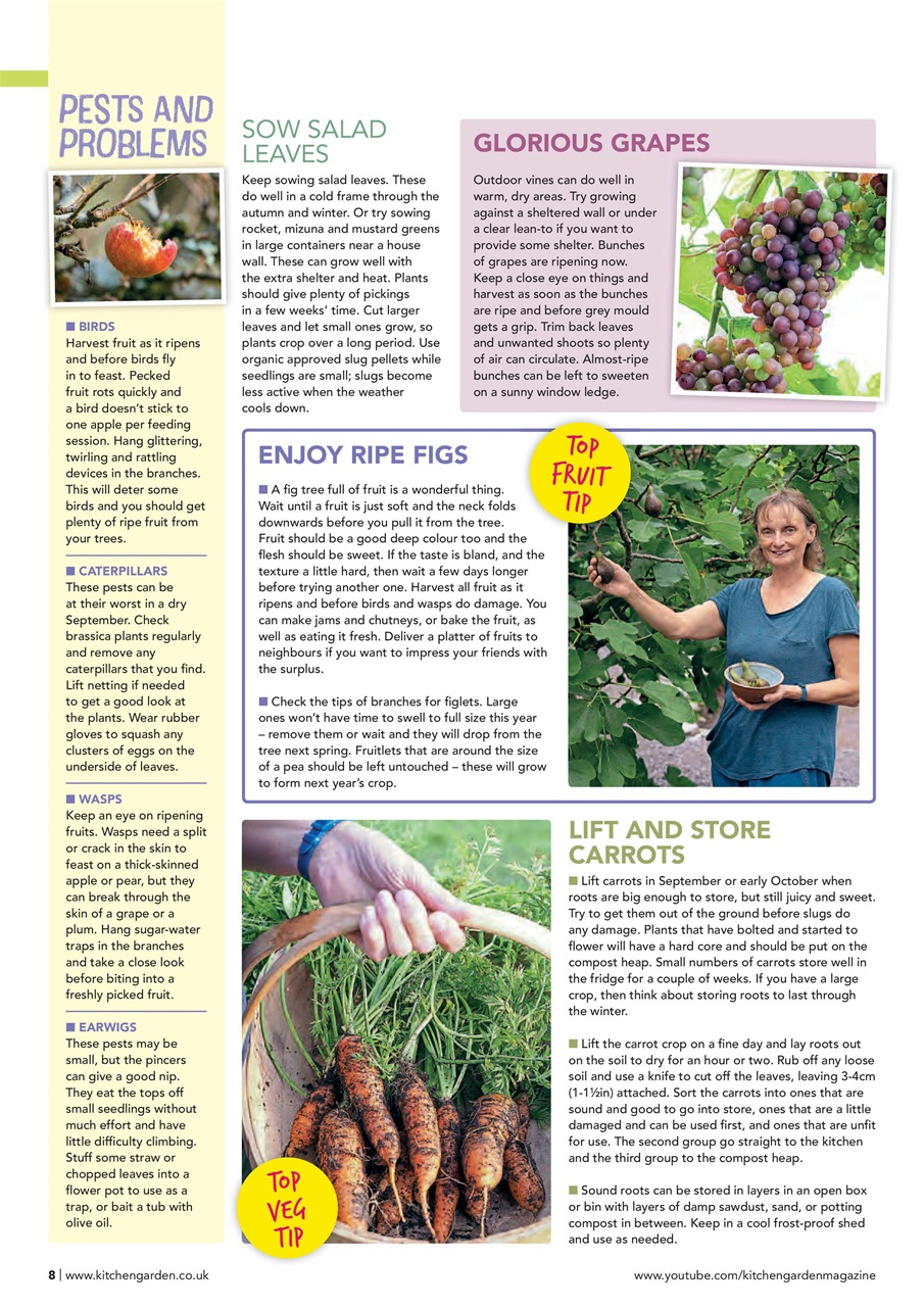Kitchen Garden Magazine Preview Pages
