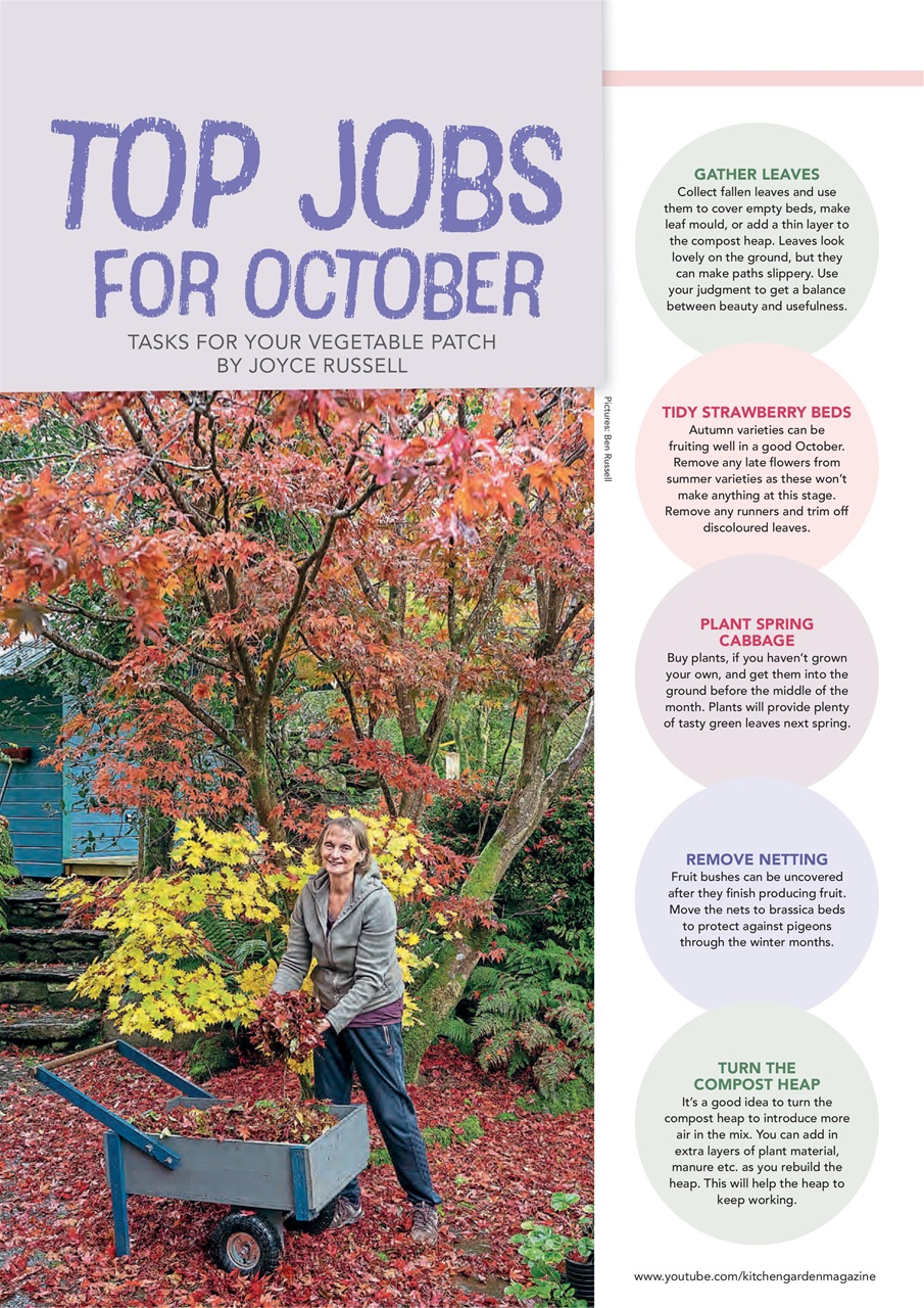 Kitchen Garden Magazine Preview Pages