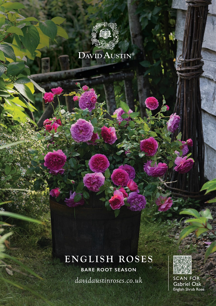 Kitchen Garden Magazine Preview Pages