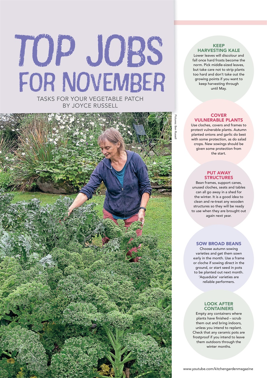 Kitchen Garden Magazine Preview Pages