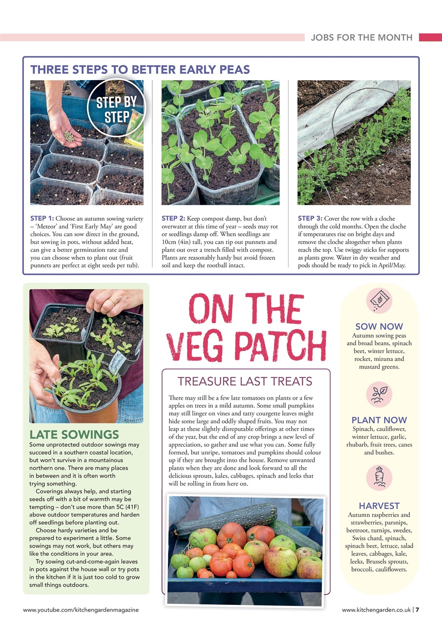 Kitchen Garden Magazine Preview Pages
