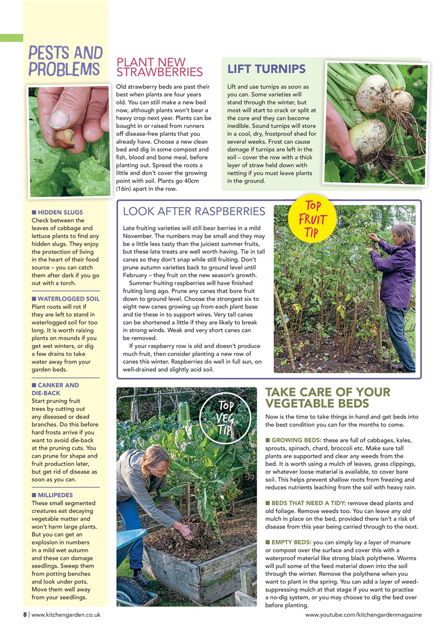 Kitchen Garden Magazine Preview Pages