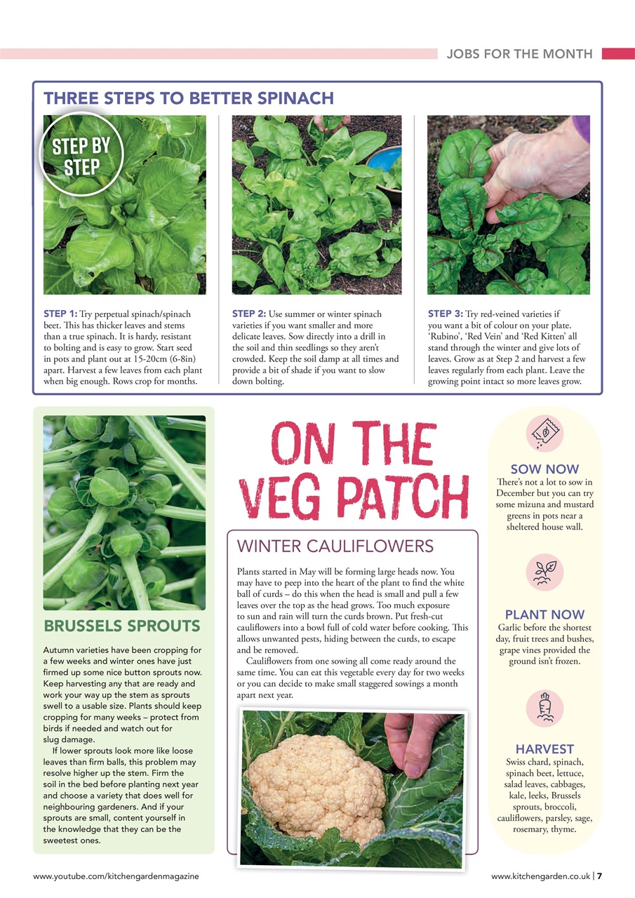Kitchen Garden Magazine Preview Pages