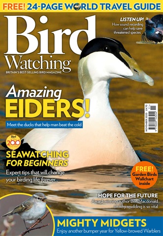 Bird Watching issue Nov 20