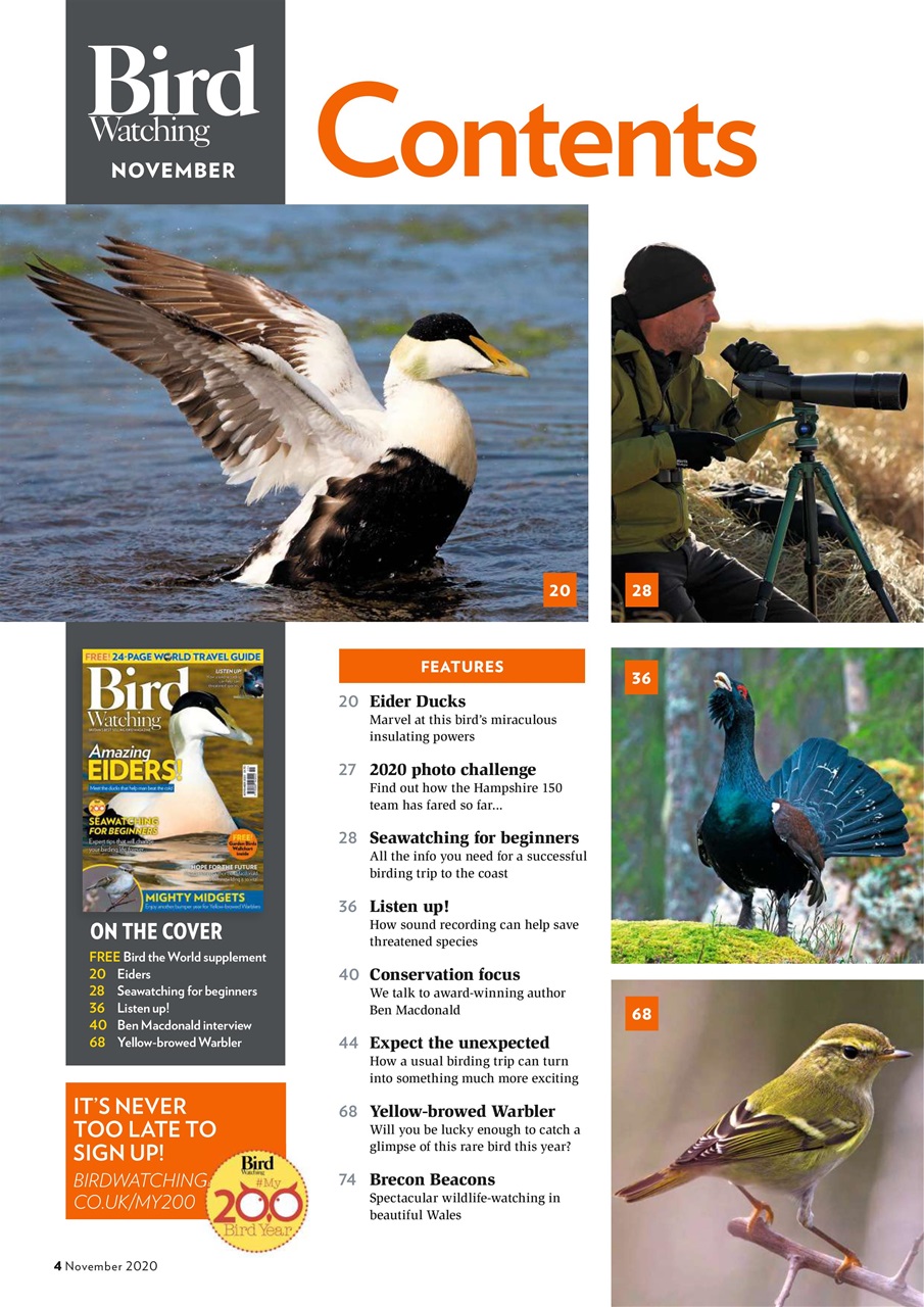 Bird Watching Preview Pages