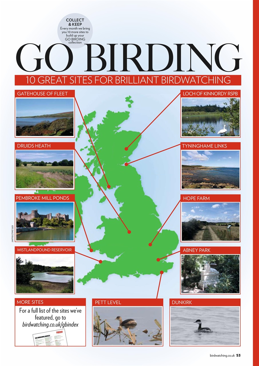 Bird Watching Preview Pages