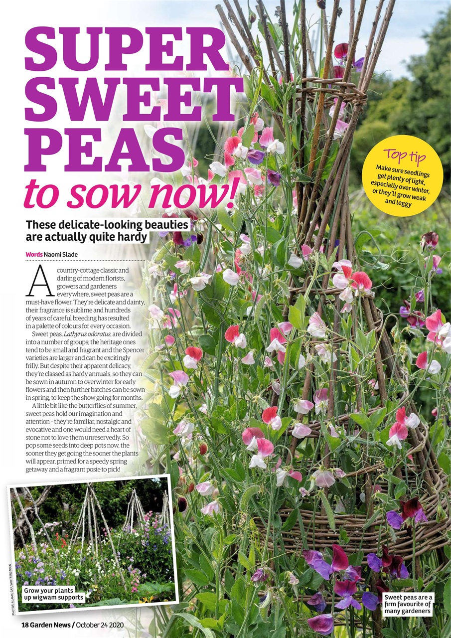 Garden News Preview Pages