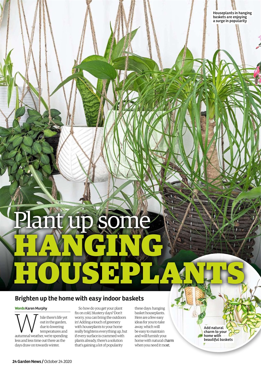 Garden News Preview Pages