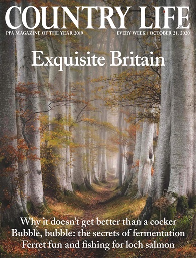Country Life issue 
