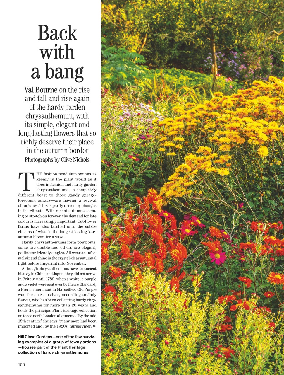 Country Life Preview Pages