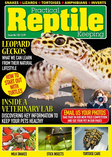 Practical Reptile Keeping issue 