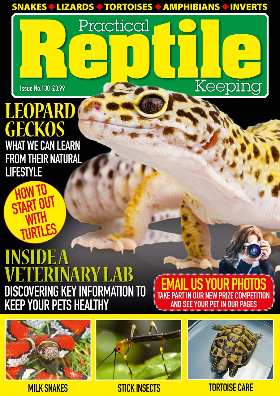 Practical Reptile Keeping Preview Pages
