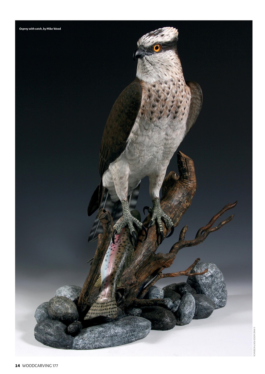 Woodcarving Preview Pages