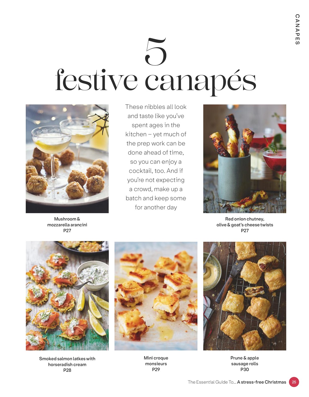 The Essential Guide To... Preview Pages