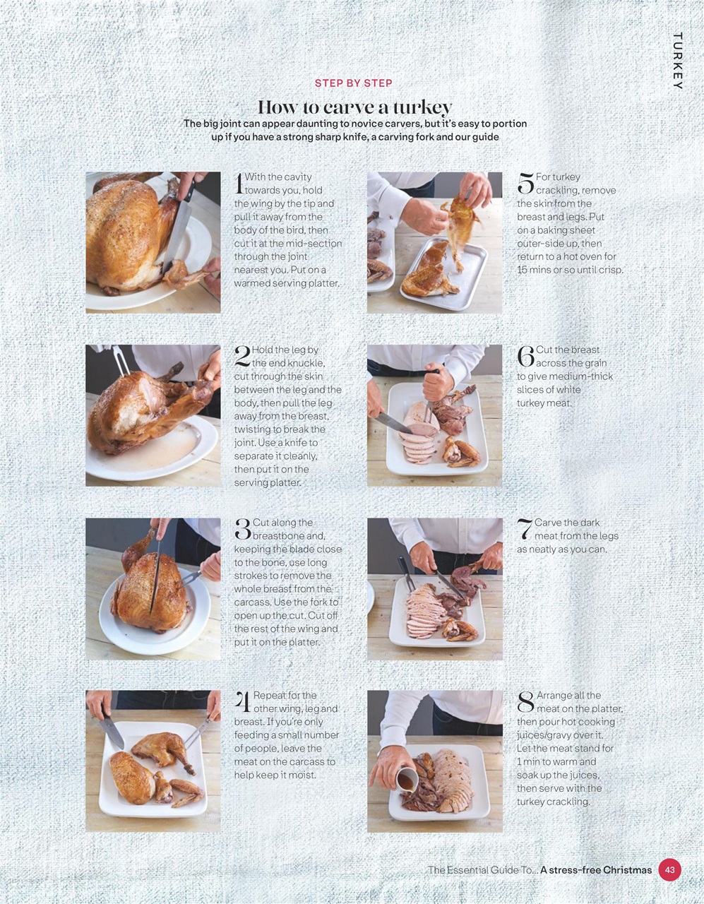 The Essential Guide To... Preview Pages