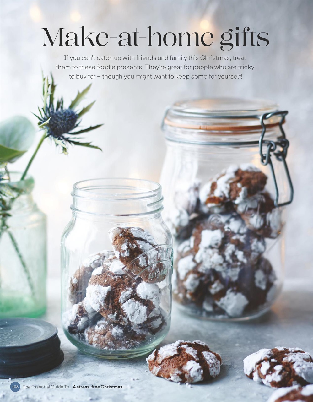 The Essential Guide To... Preview Pages