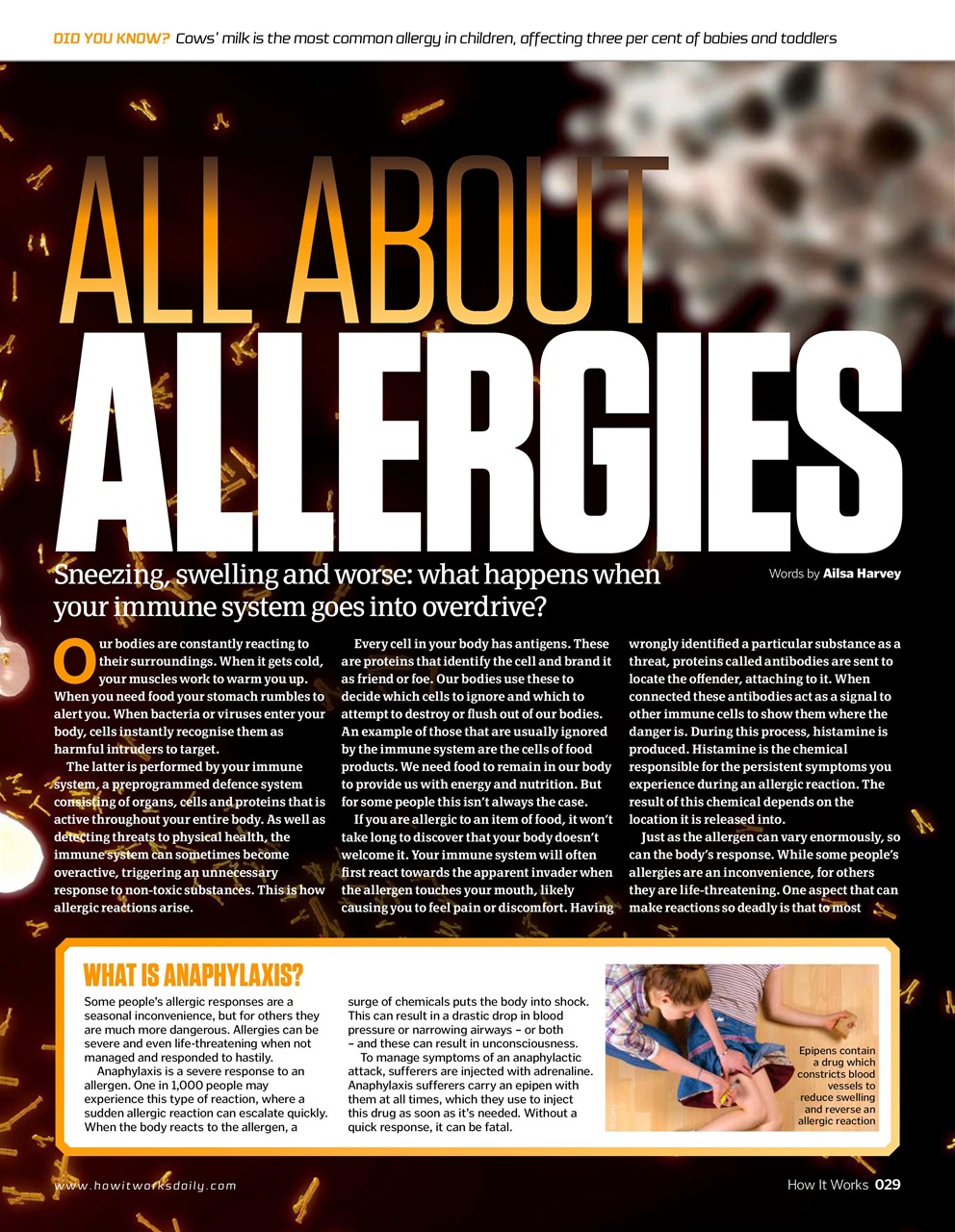 How It Works Preview Pages