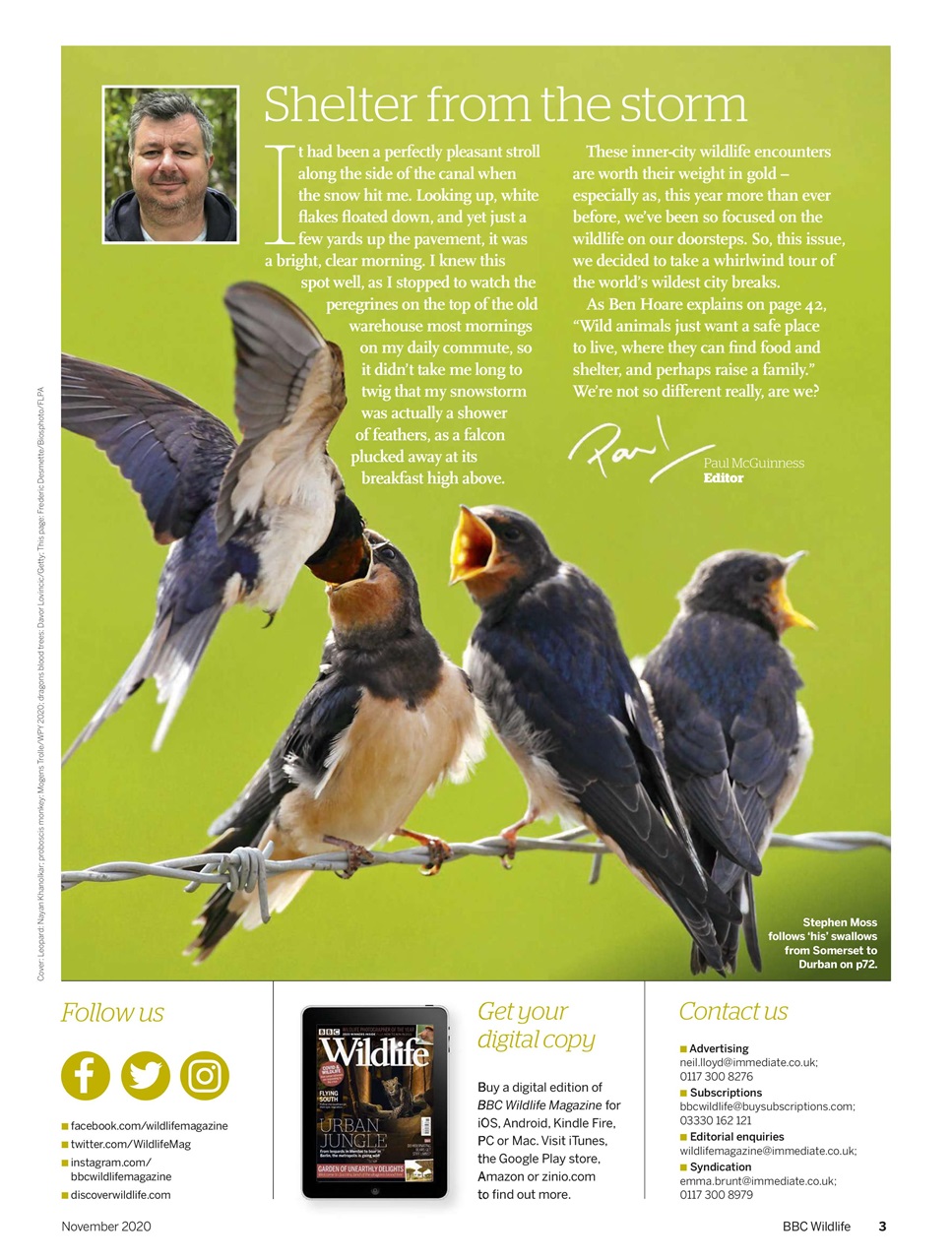 BBC Wildlife Magazine Preview Pages