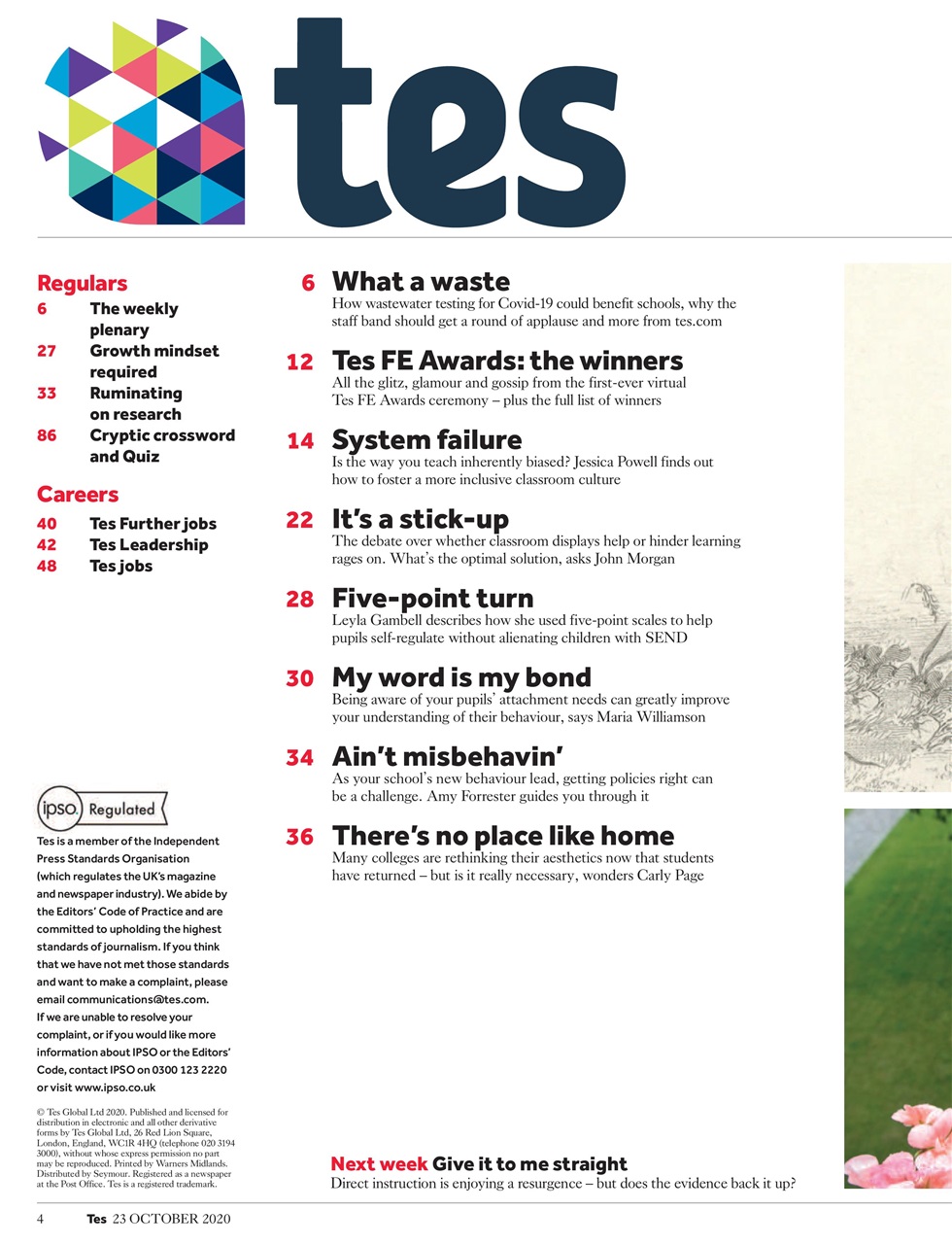 TES Preview Pages