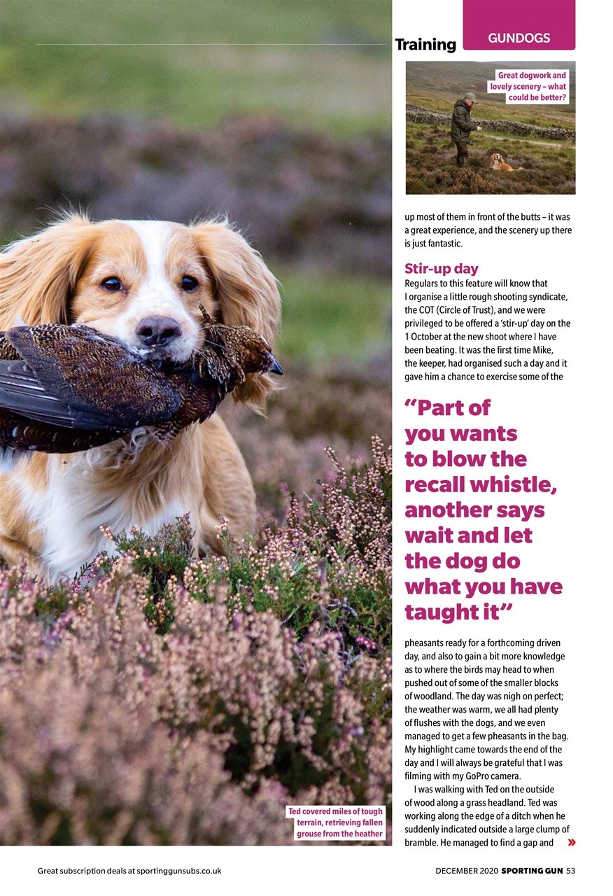 Sporting Gun Preview Pages