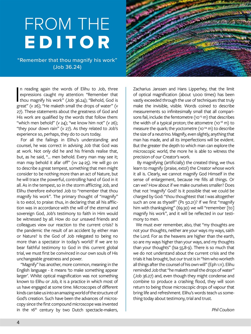 Believer Magazine Preview Pages