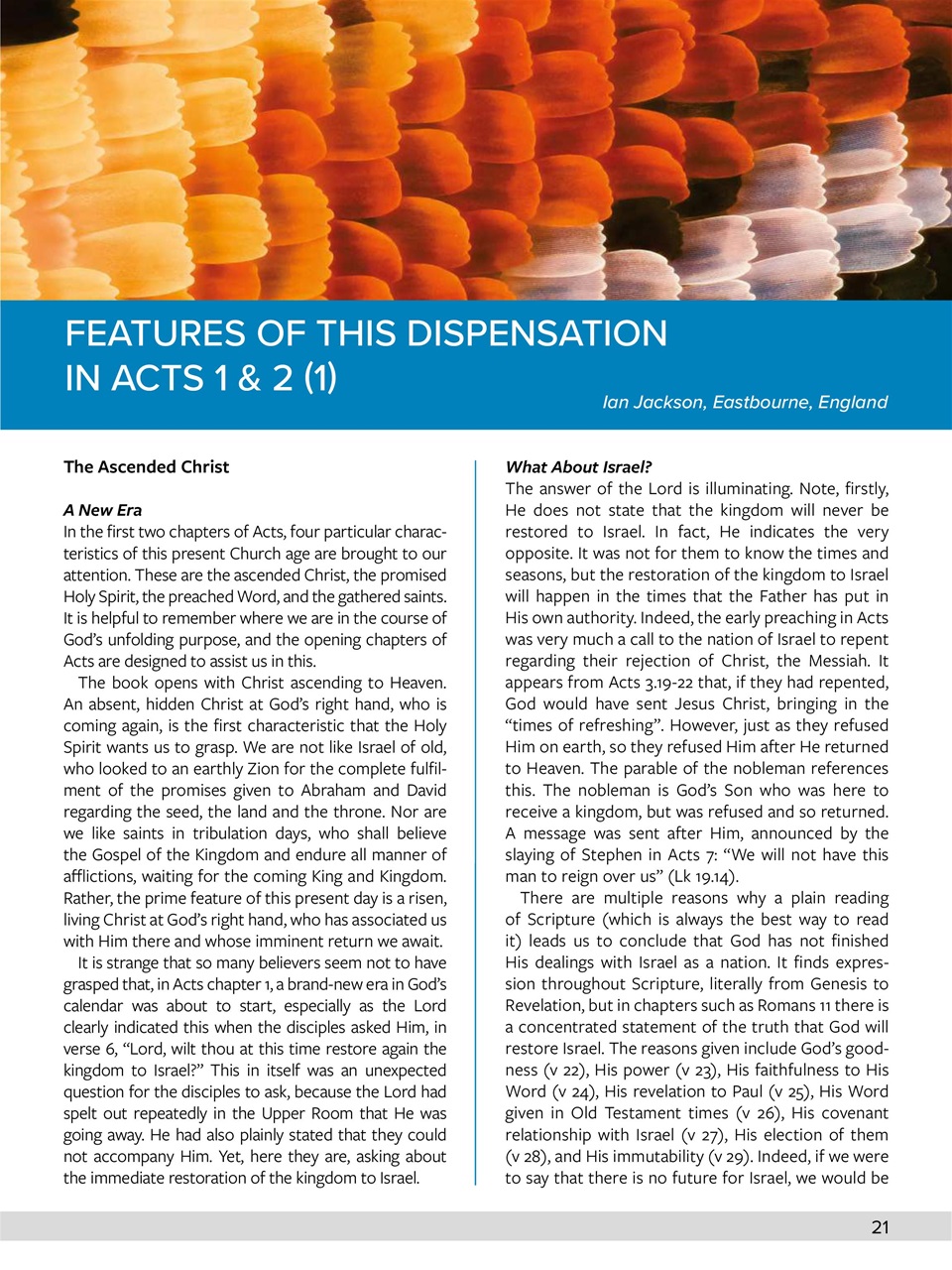 Believer Magazine Preview Pages