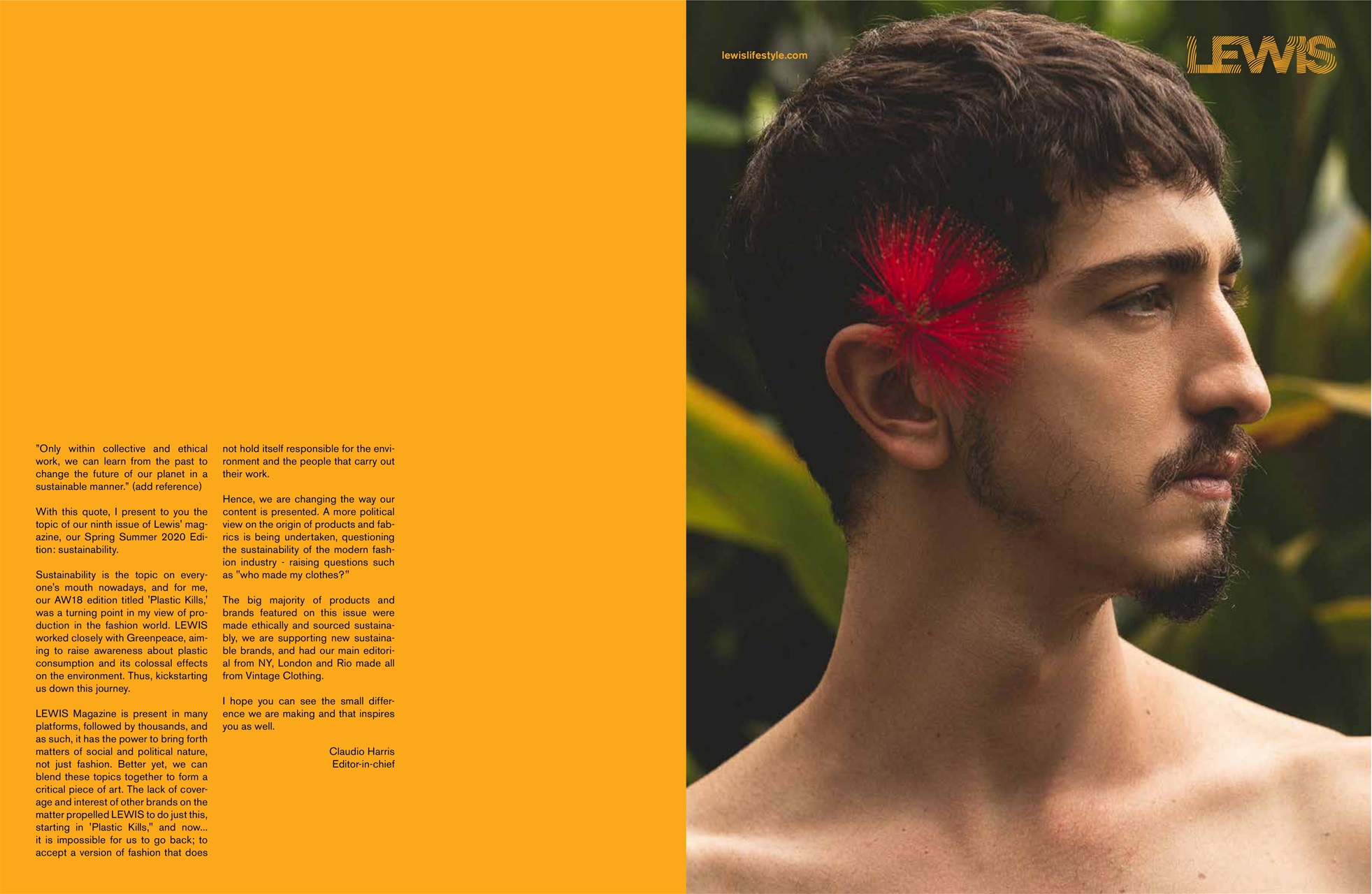 Lewis Magazine Preview Pages