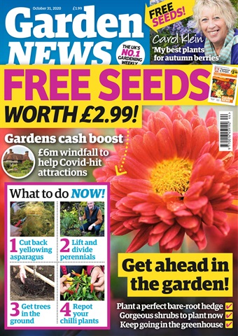 Garden News issue 27/10/2020