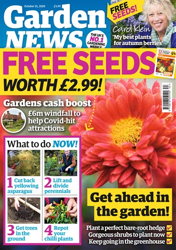 Garden News issue 