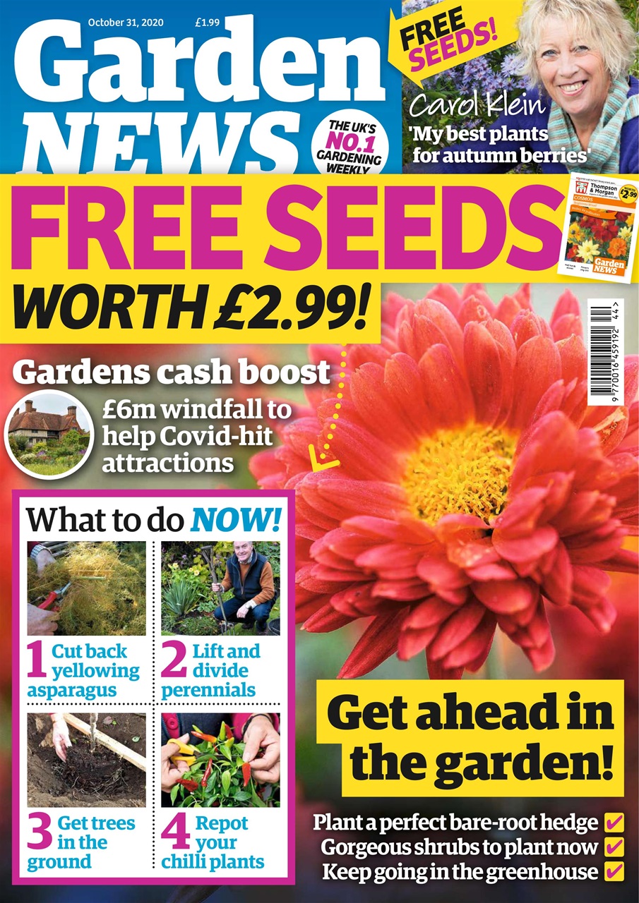 Garden News Preview Pages