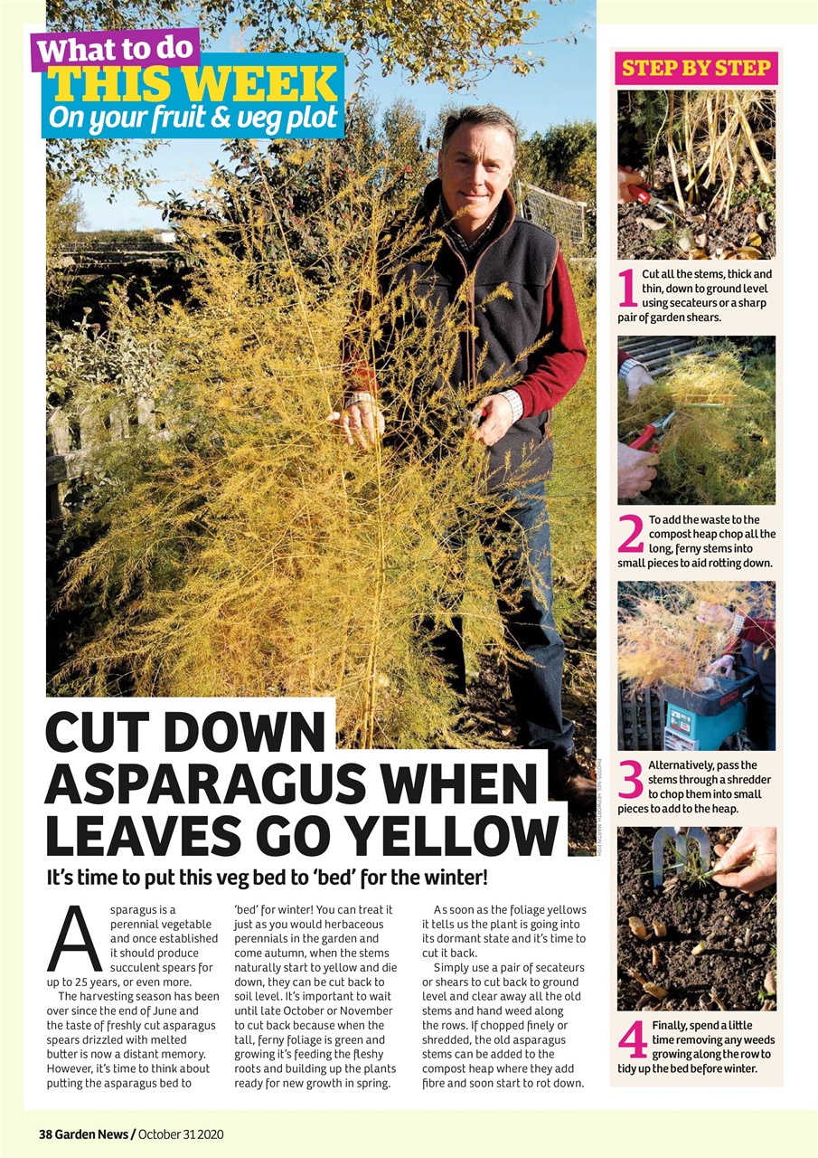 Garden News Preview Pages