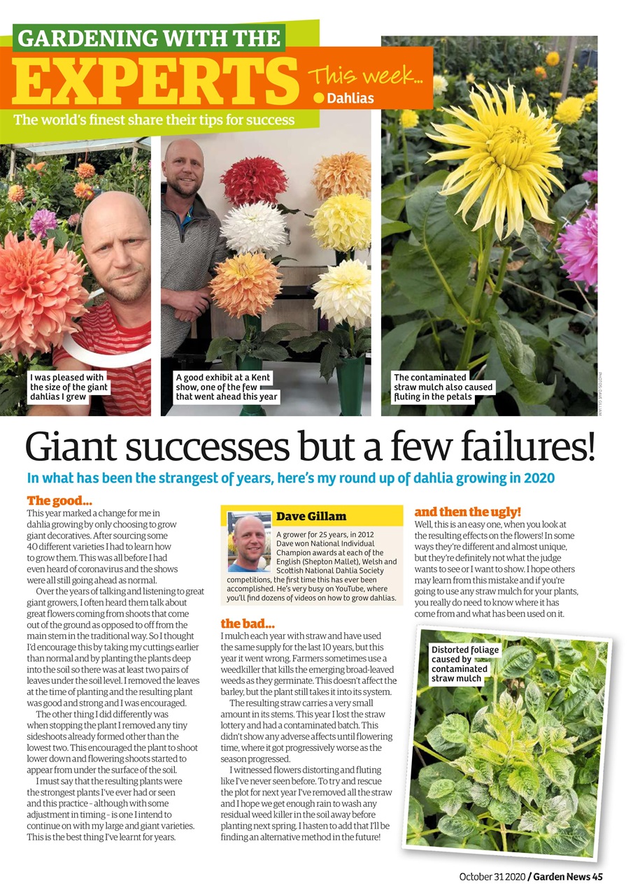 Garden News Preview Pages