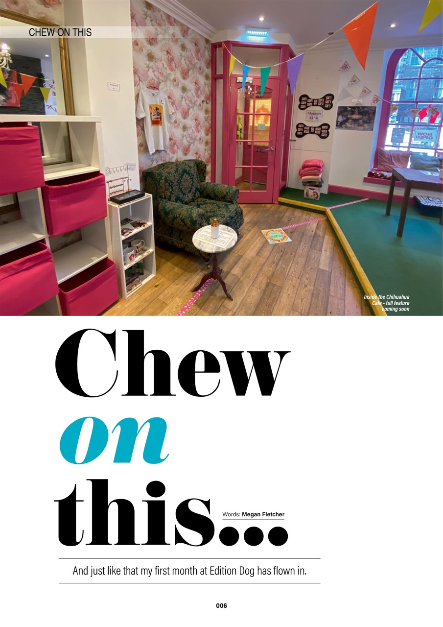 Edition Dog Preview Pages