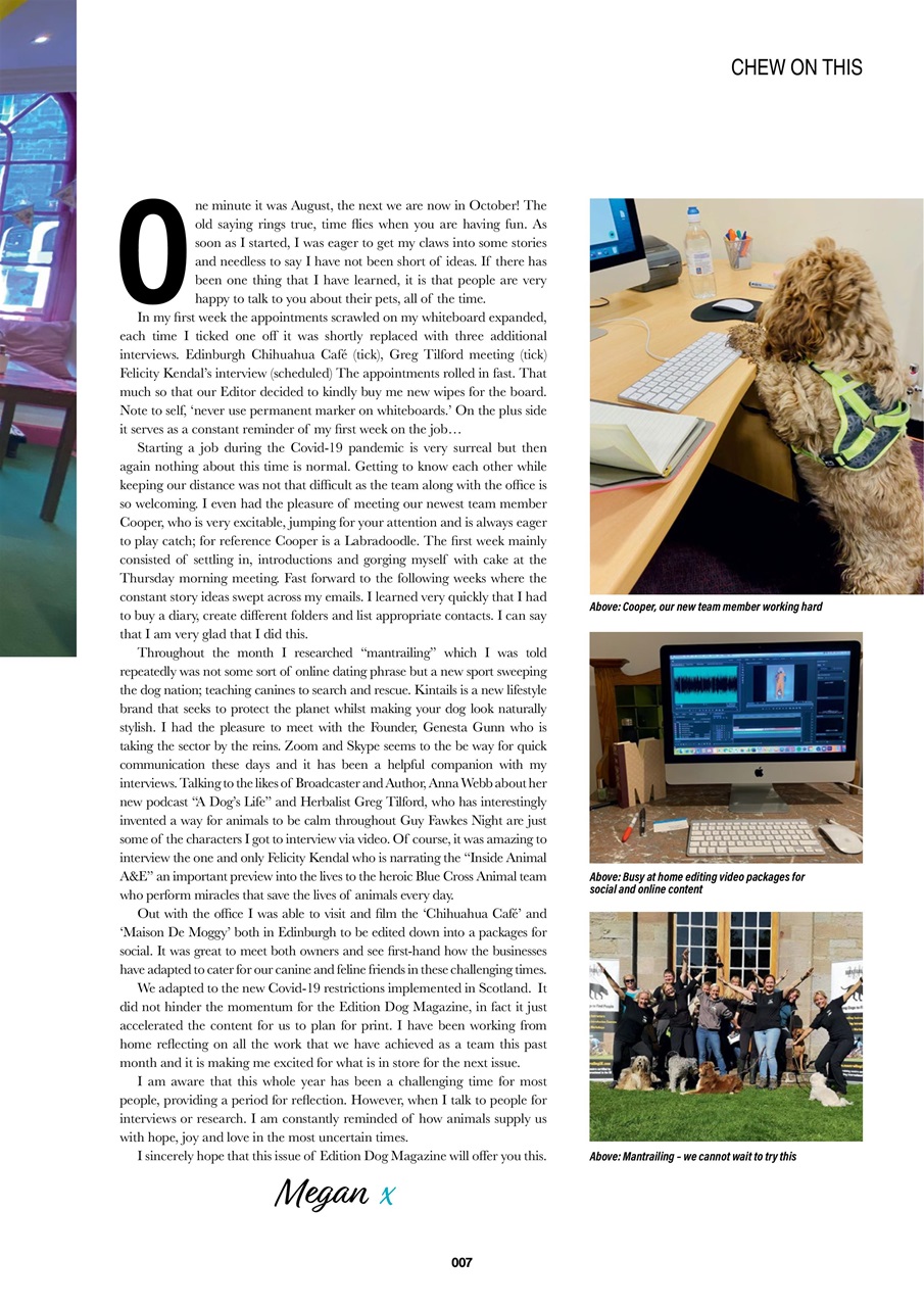 Edition Dog Preview Pages