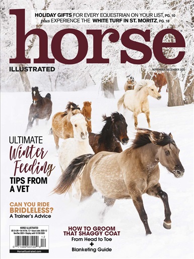 Horse Illustrated Magazine issue 