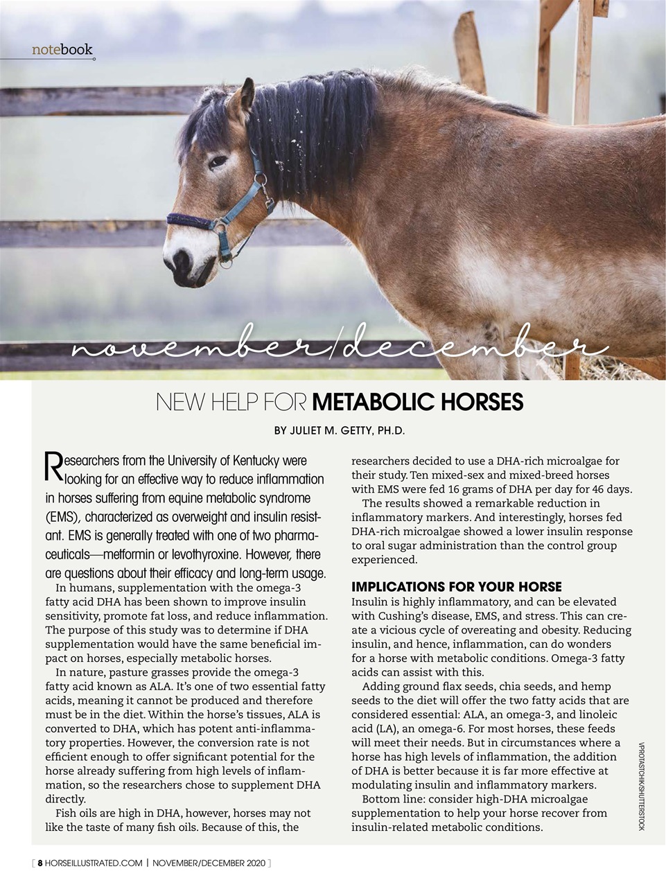 Horse Illustrated Magazine Preview Pages