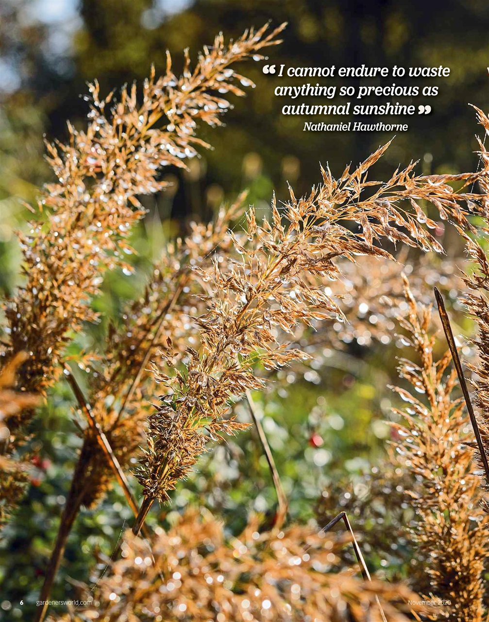 BBC Gardeners’ World Magazine Preview Pages