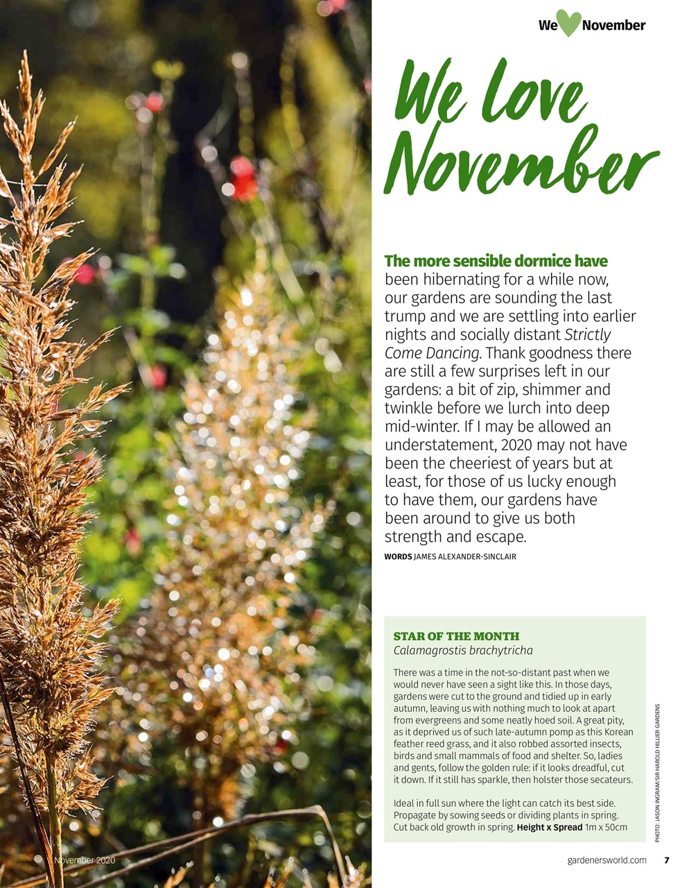 BBC Gardeners’ World Magazine Preview Pages