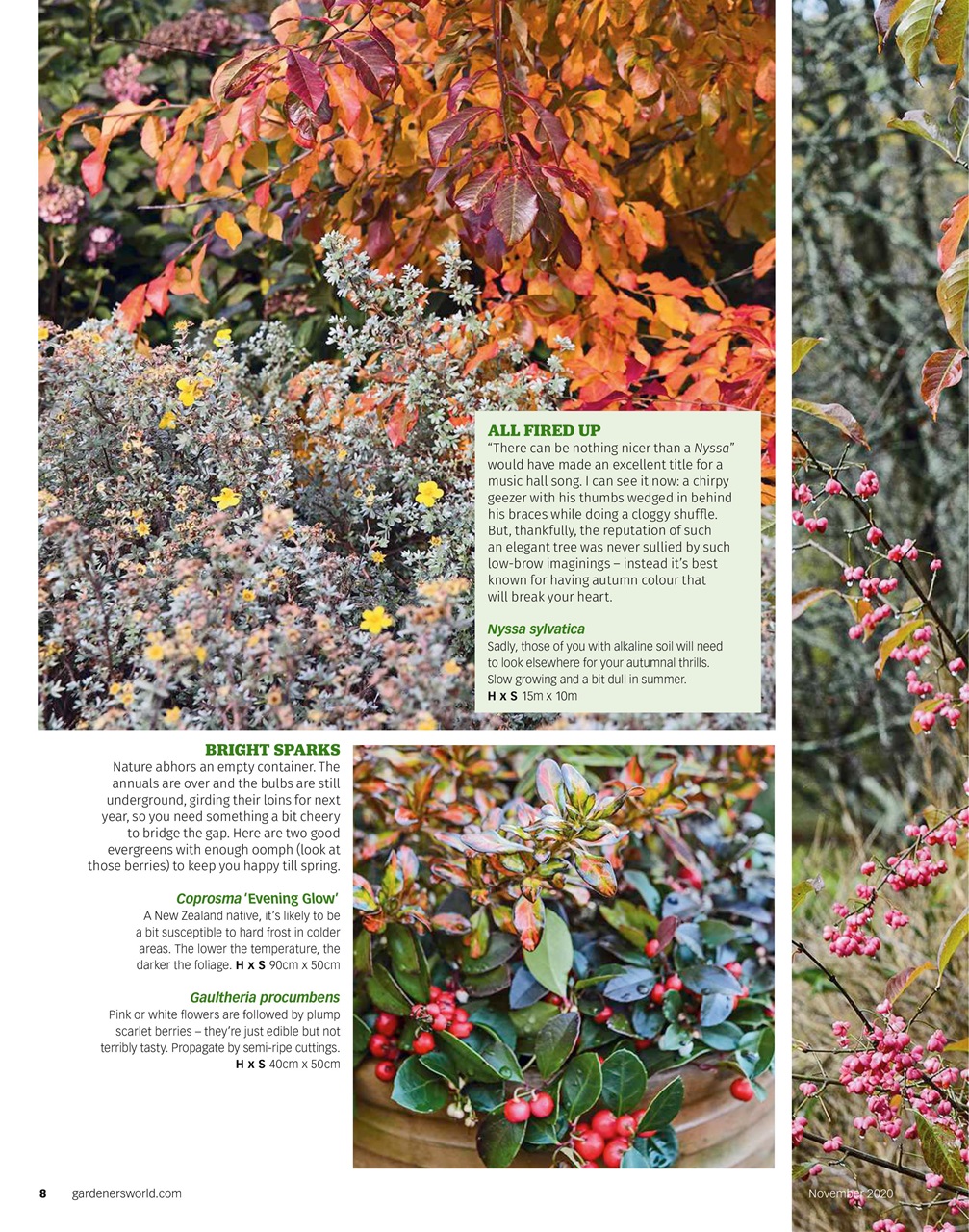BBC Gardeners’ World Magazine Preview Pages