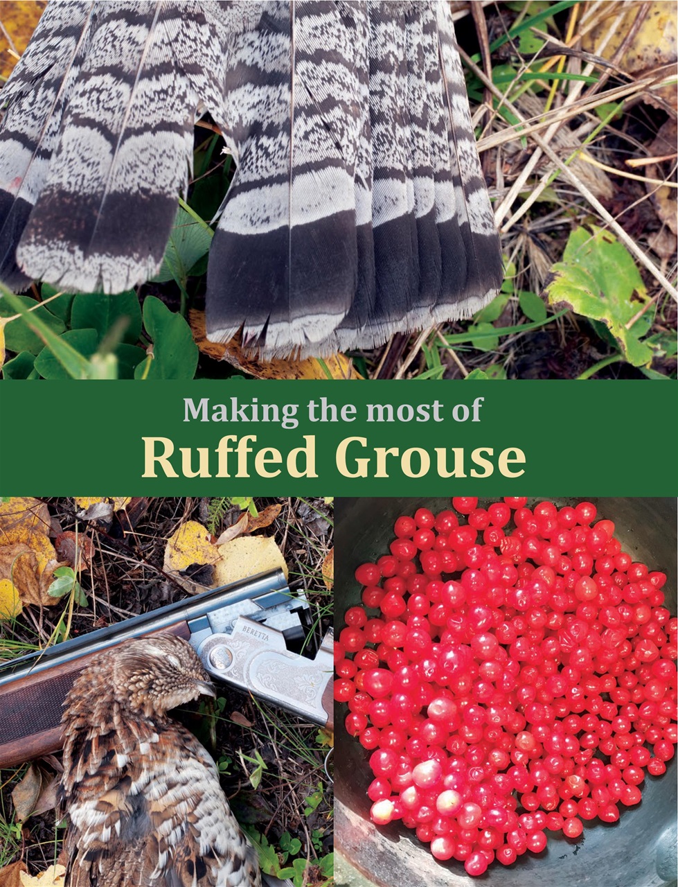 Alberta Outdoors Preview Pages