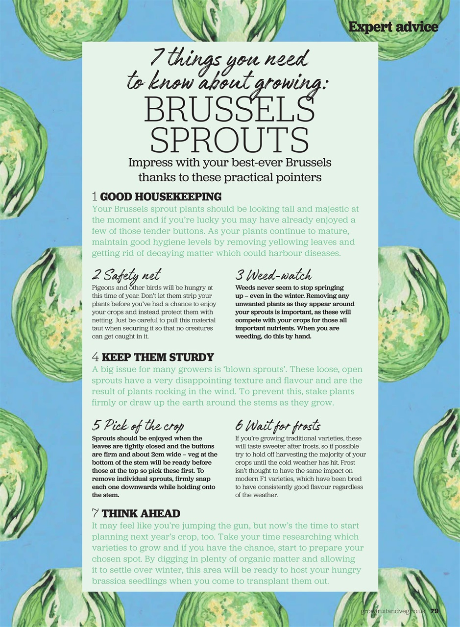 Grow Your Own Preview Pages