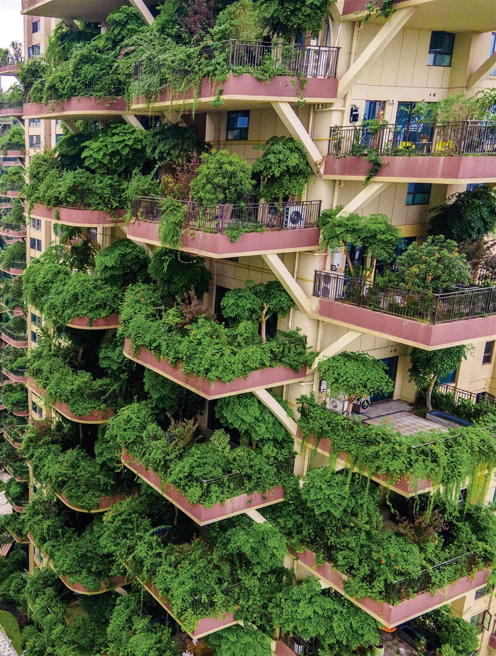 BBC Science Focus Magazine Preview Pages