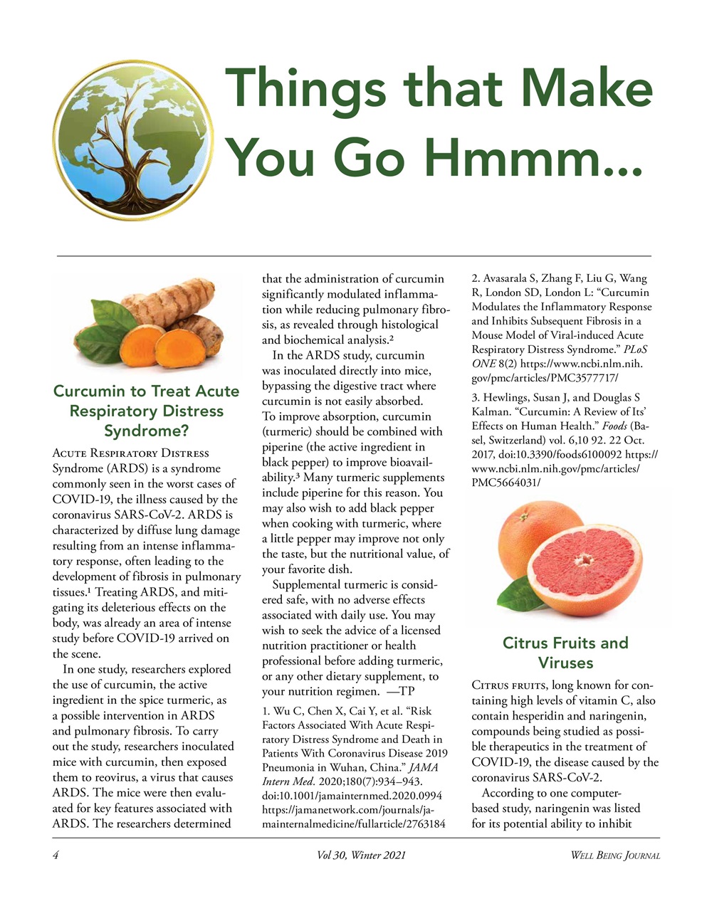 Well Being Journal Preview Pages