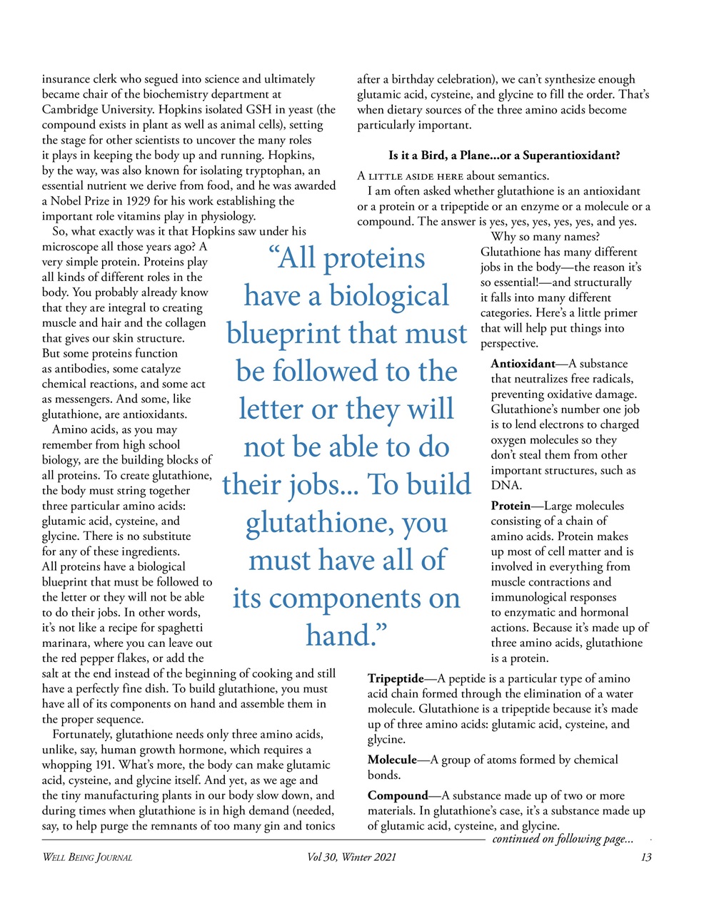 Well Being Journal Preview Pages