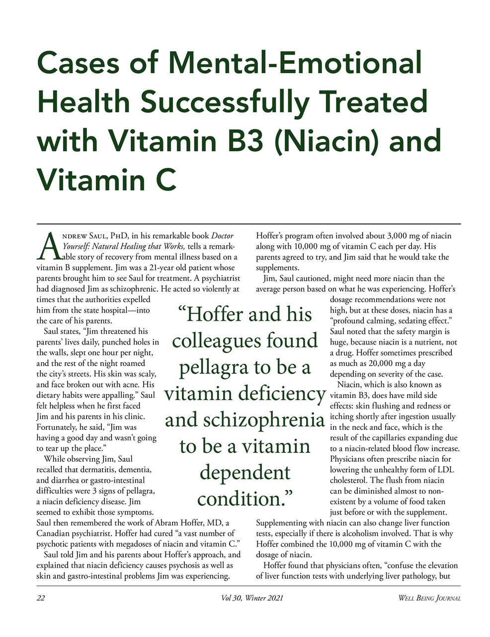 Well Being Journal Preview Pages