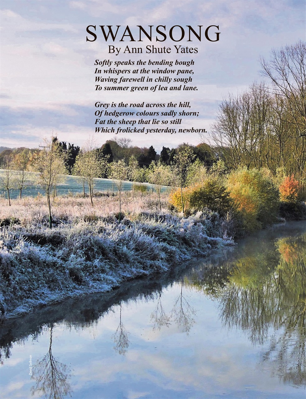 This England Preview Pages