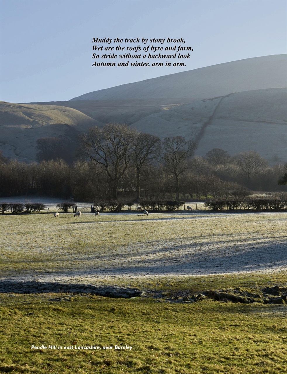 This England Preview Pages