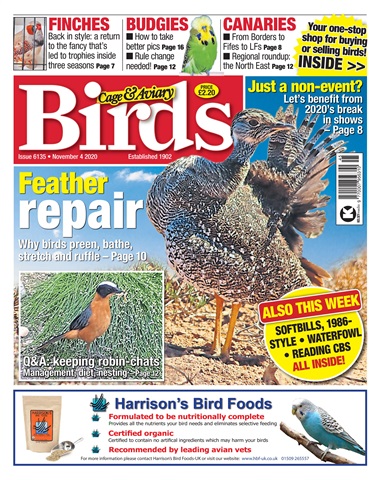 Cage & Aviary Birds issue 04-11-2020