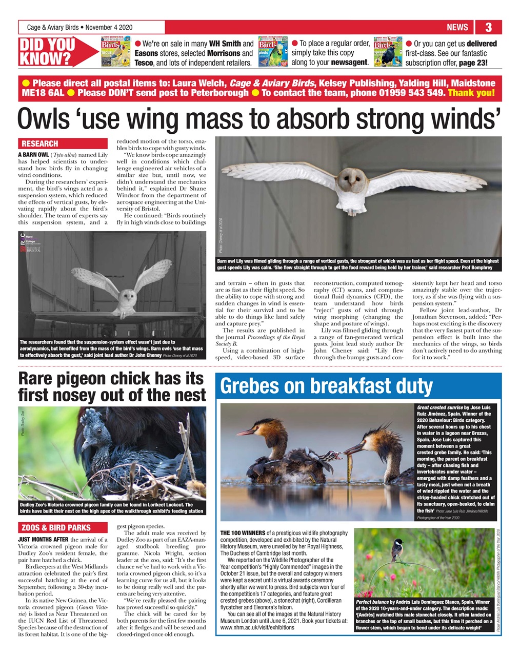 Cage & Aviary Birds Preview Pages